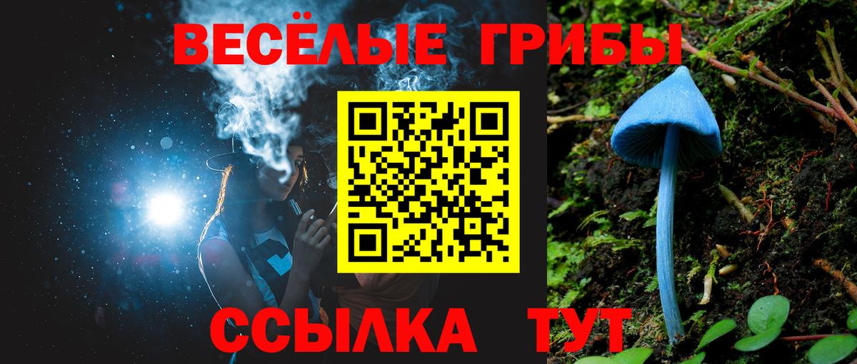 Псилоцибиновые грибы Psilocybine cubensis  Галлюциногенные грибы ЛСД  Вход с VPN  Кудрово 